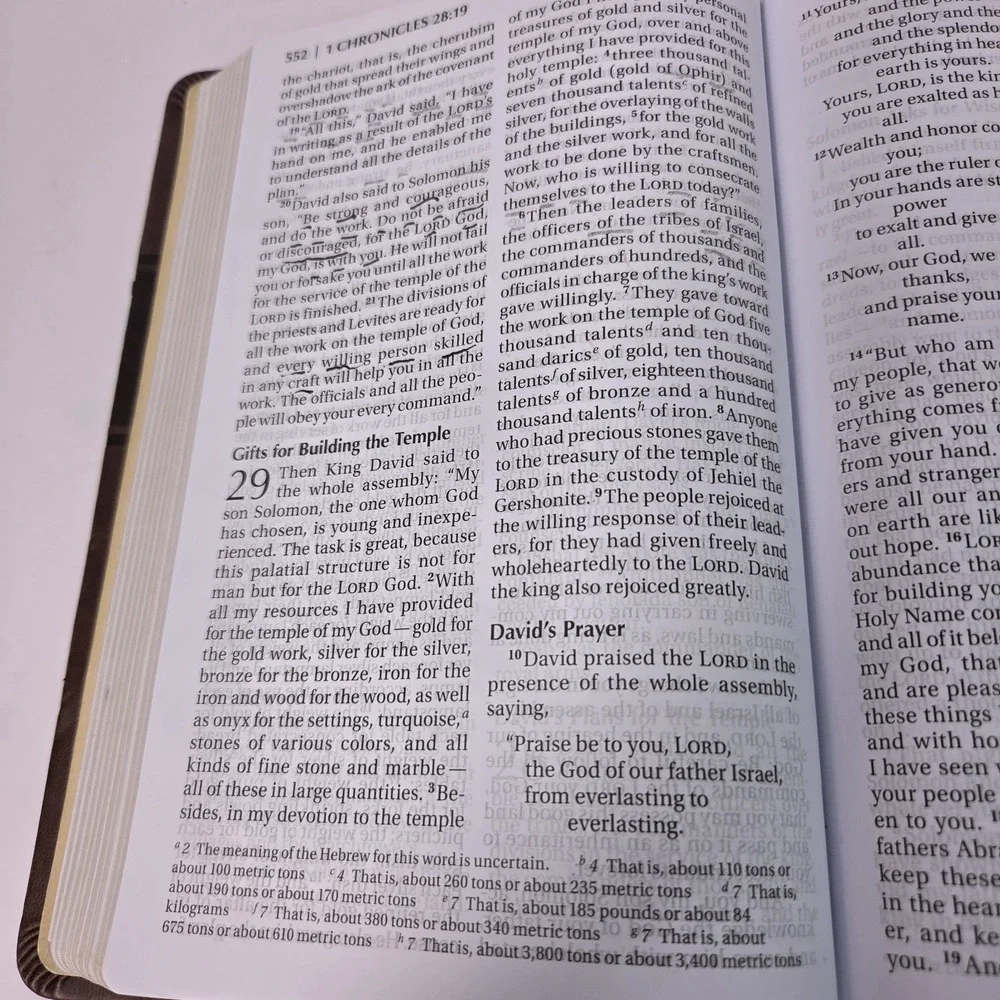 Holy Bible NIV New International Version‎ Zondervan Brown LeatherSoft 2011